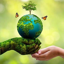 محیط زیست مطلوب