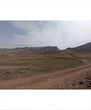 دشت کوهستانی در اوایل بهار – چشم‌انداز بکر و آرام از طبیعت روستایی