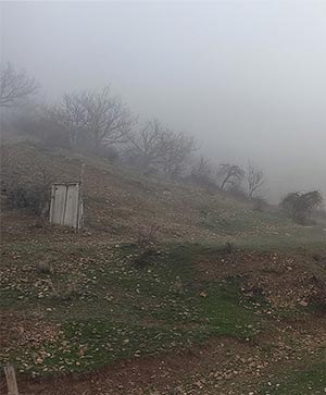 سکوت مه‌آلود در دامنه کوه – درختان خشک و کلبه چوبی گمشده در مه