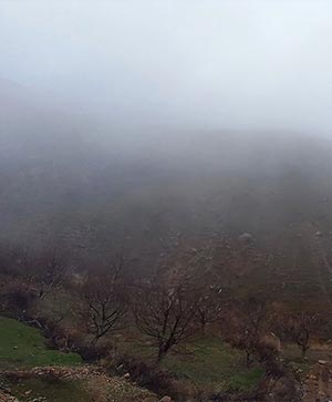 مه سنگین بر فراز دامنه کوه – چشم‌انداز زمستانی با درختان خاموش و سکوت طبیعت