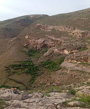 تصویر چهارم