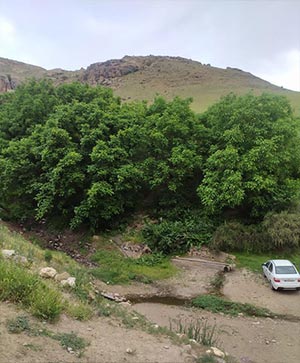 تصویر چهارم