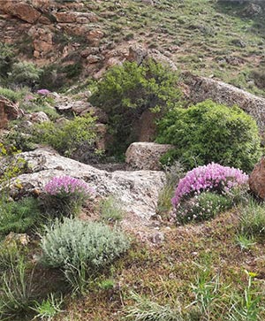 تصویر یازدهم