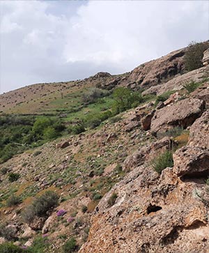 تصویر دوازدهم