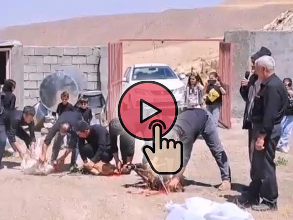 مراسم ظهر عاشورا ، بخش سوم ، اهدای قربانی ها و دعا برای قبولی نذورات و قربانی های اهالی روستا