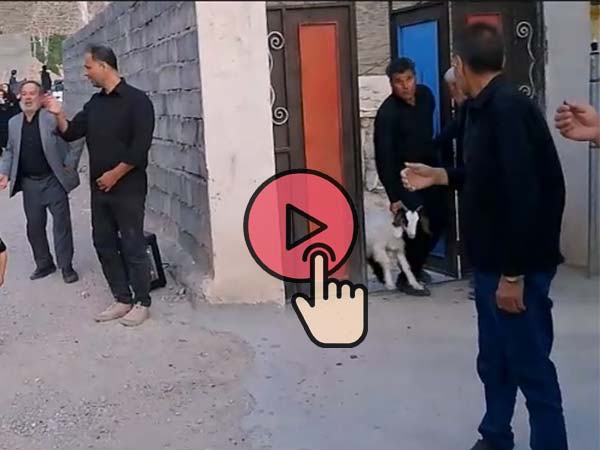 مراسم تاسوعا ، بخش چهارم ، حرکت دسته سینه زنی و اهدای قربانی توسط آقای محرم کریمی ، مدح حضرت عباس و رقیه توسط آقای سعید آقاجانی و باقر سیابی 