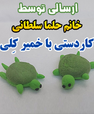 بچه لاکپشت به همراه مادرش