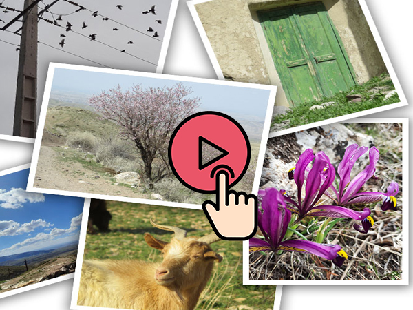 کلیپی زیبا و احساسی از روستا که با آهنگ دل‌نشین ترکی همراه شده و در آن مناظر دل‌انگیزی چون کوه‌ها، کوچه‌های روستا، خانه‌های قدیمی، مدرسه، مسجد، چشمه زلال، درختان سرسبز، غار با چکیدن آرام آب از سقف، تاک‌های انگور، استخر آب کشاورزی، صخره‌ها، گله گوسفندان و نمای دور روستا در غروب طلایی خورشید به تصویر کشیده شده‌اند.